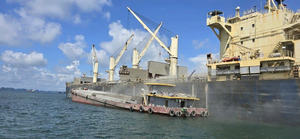 พอร์ตแลนด์คลินตัน CPC50 | เกรดพรีเมี่ยม | การส่งออกจากโรงงานโดยตรง | ขายส่งจำนวนมากในเวียดนาม - Product Image 4