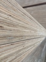 Vietnam contreplaqué 18mm de haute qualité pour la construction en extérieur