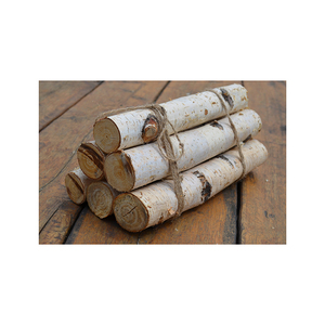 Grumes de bouleau directes en usine avec une écorce lisse et à haute densité - Product Image 6