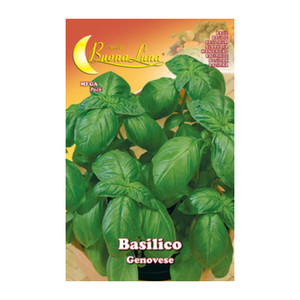 SEMI ORTO BASILICO GENOVESE - Product Image 1