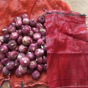เมล็ดพันธุ์หัวหอมสีเหลือง ยี่ห้อมูนสตาร์ ผลิตในประเทศไทย ผิวสีธรรมชาติ 99% ความสุก 85% งอกได้ 99% คุณภาพพรีเมียม สำหรับการเพาะปลูกเชิงพาณิชย์ - Product Image 4