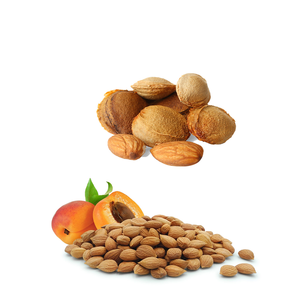 <b>Apricot</b> <b>Kernel</b> | Natural and Fragrant Ingredient for Creams - Product Image 5