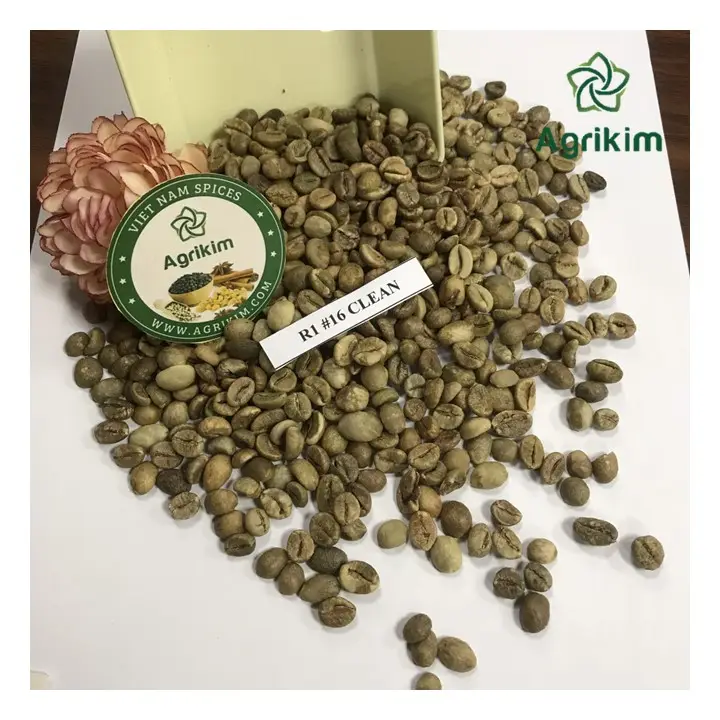 Biji kopi hijau dari Vietnam produk pertanian kualitas terbaik harga grosir siap dikirim untuk pasar Global