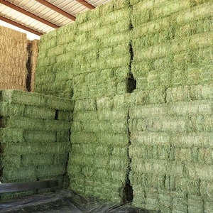ความบริสุทธิ์สูง Alfalfa Hay สำหรับการให้อาหารสัตว์ - Product Image 1