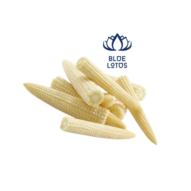 Seize the opportunity to add deliciously tender, freshly grown Vietnamese baby corn to your meal in 2024