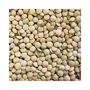 High Quality Bulk Dried Whole Split Red and Green <b>Lentils</b> for Food Use - Product Image 1