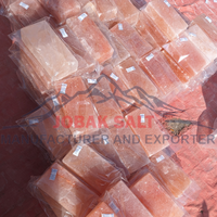 Vente en gros de briques de sel de l'Himalaya pour les sols, les salles de spa, les murs et les centres de bien-être