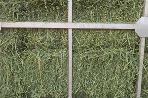 出售动物饲料的卢塞恩包 - Product Image 6