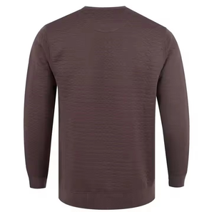 Tallas personalizadas Hombres Sudadera Diseño OEM Clásico de manga larga Sudadera Básicos de moda Algodón Mezclado Hombres Sudadera - Product Image 4