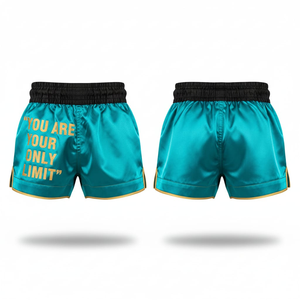 Shorts de Muay Thai al por Mayor, Marca Privada OEM, Satén Elástico, Unisex, para Adultos, Pantalones Cortos de Entrenamiento de Boxeo, MMA, Kickboxing, Ropa de Lucha - Product Image 1