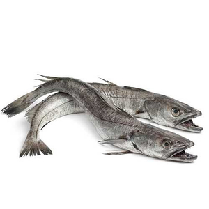 Stock disponible de filet de merlu surgelé merlu de qualité supérieure pour vos besoins culinaires