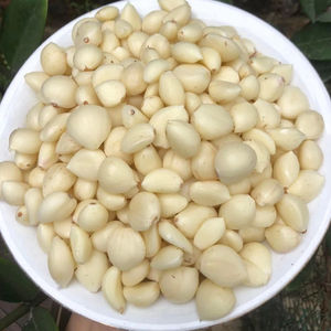 AJO CONGELADO DE ORIGEN DE VIETNAM DE ALTA CALIDAD PARA LA EXPORTACIÓN CON LARGA VIDA ÚTIL Y SABOR NATURAL - Product Image 6