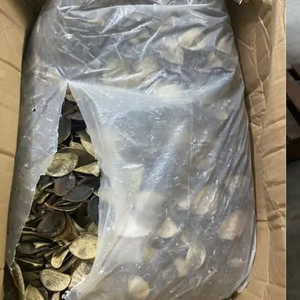 Vente en gros de coquilles d'opercule Premium Opercule à vendre du fournisseur du Viet Nam - Product Image 4