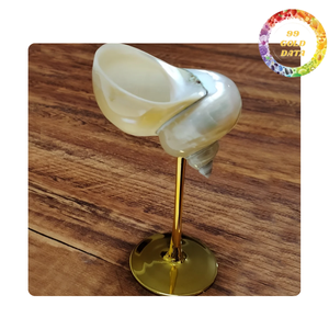 Copa de vino Scallop y Turbo Shell hecha en Vietnam | Regalo de artículo único y decoración del hogar - Product Image 2