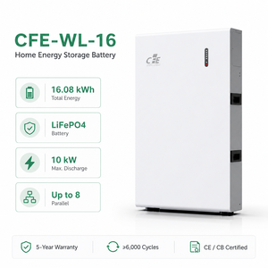 Batería Solar LiFePO4 CFE-WL-16 de 16 kWh, 51.2 V, 314 Ah, 6000+ Ciclos, Sistema de Almacenamiento de Energía Residencial (ESS) para Hogar, Montaje en Pared, <span class=keywords><strong>Potencia</strong></span> Dividida de 10 kW - Product Image 1