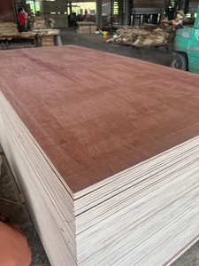 Comercial de alta calidad Vietnam madera Bintangor/Okoume cara chapas 4x8 madera contrachapada moderna para muebles E2 armarios estanterías - Product Image 4