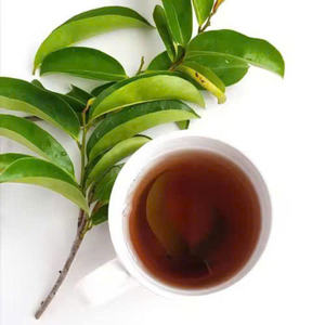 Les feuilles de corossol séchées de qualité supérieure du Vietnam sont maintenant à la mode sur les marchés d'exportation mondiaux - Product Image 3