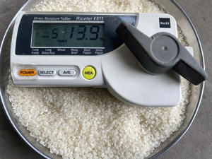 Koshihikari Japonica Sushi de haute qualité Riz moyen Nouvelle culture Vilaconic Ingrédients similaires à Basmati Samie + 84938944253 - Product Image 3