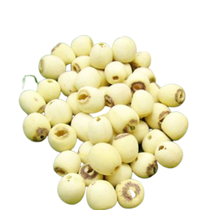 Vente en gros de légumes et fruits séchés, graines de lotus blanches séchées, biologiques, bonnes pour la santé, fabriquées au Vietnam - Product Image 6