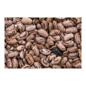 Haricots rouges Pinto en vrac naturels de qualité supérieure à partir de haricots rouges mouchetés rouges séchés pour la nourriture pas cher prix meilleur cool - Product Image 5