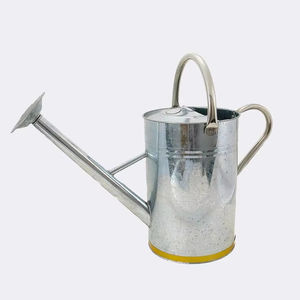 Bidon d'eau galvanisé avec un design élégant et une poignée ergonomique pour une expérience d'arrosage lisse et pratique - Product Image 1