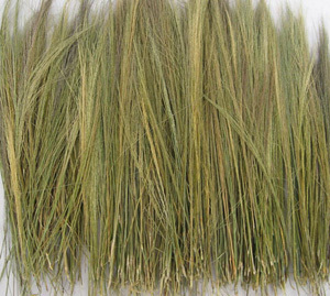 Balai de jardin naturel fait à la main avec manche court et bâton en bois Artisanat du Vietnam Balai à gazon à nom court - Product Image 2