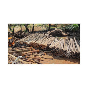 Hardwood Premium Kiln Dried Firewood / Oak <b>Wood</b> and Pine <b>Wood</b> Firewood <b>for</b> <b>Sale</b> Worldwide / Kiln Dried Firewood - Product Image 5