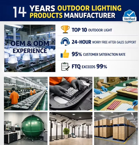 Luz <span class=keywords><strong>LED</strong></span> Modular de Alta Luminosidad Rayluxtech para Túneles, Proyector Exterior de Aluminio IP65 para Estadios e Ingeniería - Product Image 6