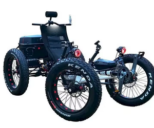 Prêt à être expédié, quad électrique à pneus gras, vélo couché tout-terrain, E-Quad est un véhicule électrique tout-terrain à 4 roues - Product Image 2