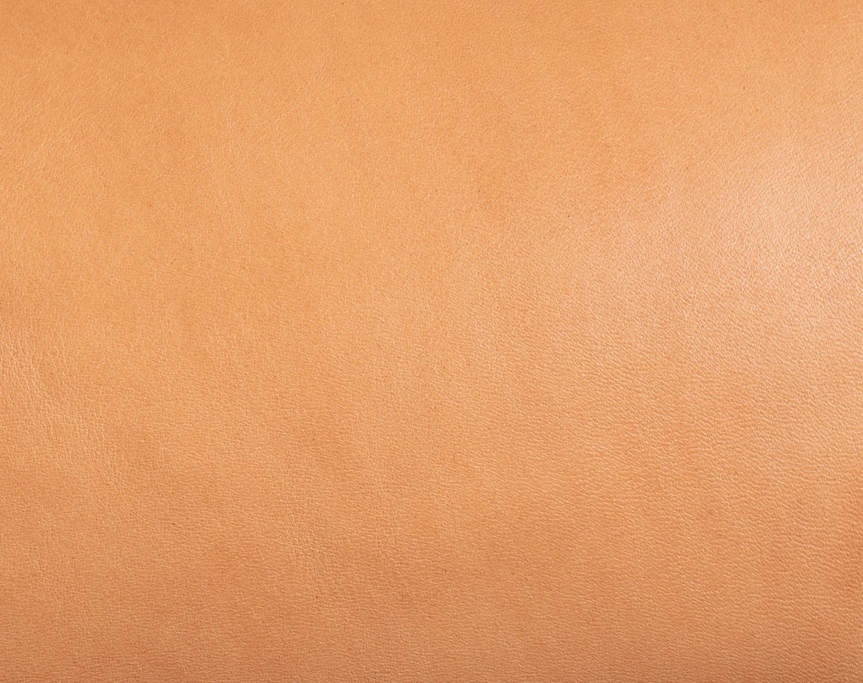 Natural Leather Skin