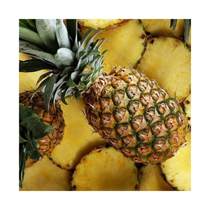 ผู้จำหน่ายสับปะรดแช่แข็ง Iqo ชั้นนำ-สินค้าคุณภาพสูงจากเวียดนาม - Product Image 5