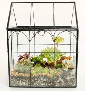 Conception de terrarium en métal et en verre pour le salon moderne, grand terrarium de qualité supérieure au design standard pour les meilleures ventes - Product Image 5