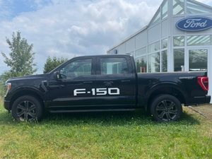 Nuovo 2025 per F-150 XLT 5.0L V8 405CV 4x4 Euro VI Automatico Guida a Sinistra SUV/Pickup Fuoristrada - Product Image 4