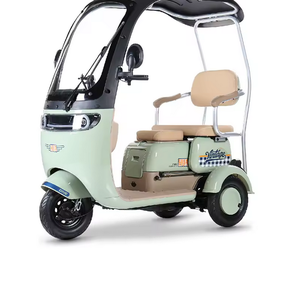 Ready to go 3 Wheels 1000W Electric <b>Scooter</b> Electric Tricycle Small Mobility <b>Scooters</b> Electric Ebike For Adults - Product Image 2