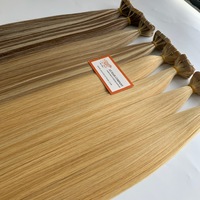 Offres de Gros des Vendeurs Vietnamiens : Extensions de Cheveux Humains Vierges 100% Grade 12A, Lisses, à Bandes Adhésives, Couleur Mèches, Double Trame Faite à la Machine, Installation Facile