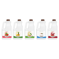 Sirop de melon d'hiver Taiwan Tea Zone J1095 64oz pour Bubble Tea, Smoothies, Thés au lait et Boissons mélangées – Végétalien, Sans produits laitiers, Sans gluten