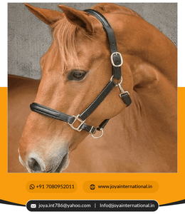 เชือกคล้องคอหนังม้ายกแบบคลาสสิก - Product Image 6