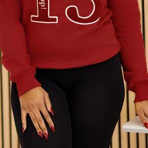 J13 13 de enero Chenille Sudadera de cuello redondo Premium Fleece Sorority Apparel Greek DST Delta Maroon Heritage Top - Product Image 4