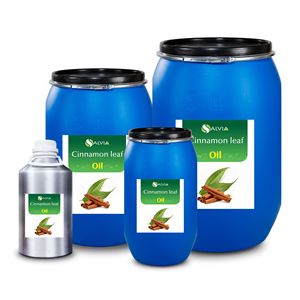 Livraison gratuite huile de feuille de cannelle | Approvisionnement en vrac | Qualité cosmétique | Étiquette privée disponible - Product Image 1
