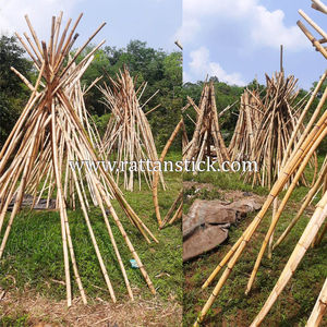 Mazos de Raíz de Ratán para Palo de Polo, Mazos de Polo, Mazos de Raíz - Product Image 4