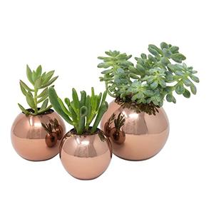 Top Selling Online Luxury Gold Finishing Metal Planter with <b>Stand</b> Home and Garden Floor Decoration Stylish Planters - Product Image 5