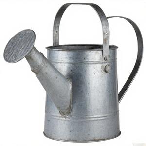 Rustic Galvanised Watering Can with Long Spout and <b>Arched</b> Handle, Perfect for Both Indoor Plants and Outdoor <b>Garden</b> Use - Product Image 6