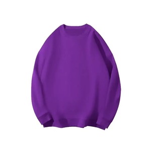 Femmes à la mode coupe ample doublé polaire coton court décontracté col rond couleur unie haut tricoté pour l'automne - Product Image 6