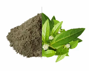 Premium Eclipta Alba Powder 100% Natural & Pure Bhringraj Herbal Powder para el crecimiento del cabello - Product Image 1