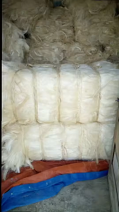 Low Price 100% Natural Sisal <b>Fiber</b> for Sale - Product Image 2