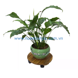 Fournitures de jardinage Pot de fleurs Jardin extérieur en bois au Vietnam Entreprise Top Sale Premium Quality - Product Image 2