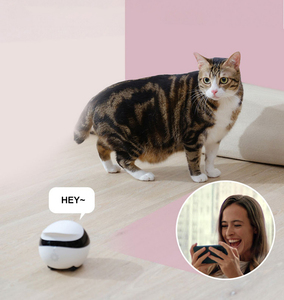 Intelligenter <span class=keywords><strong>App</strong></span>-gesteuerter Haustier-Begleitroboter mit Kamera, elektronisches interaktives Roboterspielzeug für Katzen, Kinder und Senioren - Product Image 2