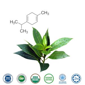 แกมมา เทอร์พีนีน 95% บริสุทธิ์ แกมมา เทอร์พีนีน เกรดธรรมชาติและสังเคราะห์ สำหรับกลิ่น รสชาติ อุตสาหกรรมเคมี ผู้จัดจำหน่ายแกมมา เทอร์พีนีน - Product Image 1