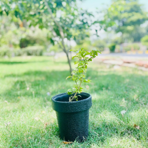 Jardinière en plastique durable - Product Image 1