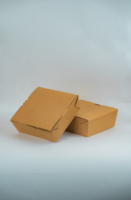 Boîte à lunch kraft rectangulaire blanche/marron de haute qualité impression 4C pour emballage alimentaire à emporter et récipient à lunch